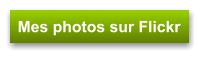 Mes photos sur Flickr